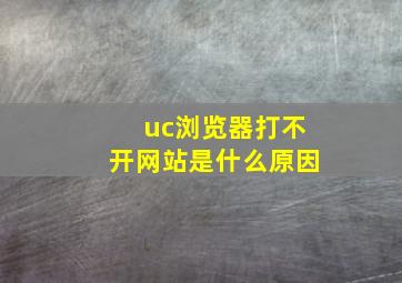 uc浏览器打不开网站是什么原因