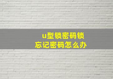 u型锁密码锁忘记密码怎么办