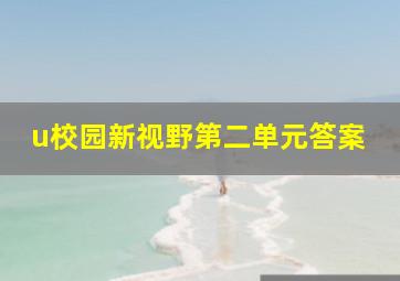 u校园新视野第二单元答案