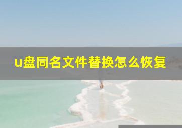 u盘同名文件替换怎么恢复