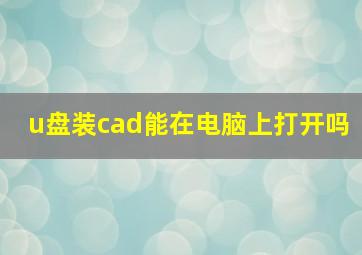 u盘装cad能在电脑上打开吗