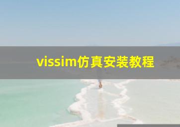 vissim仿真安装教程