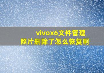 vivox6文件管理照片删除了怎么恢复啊