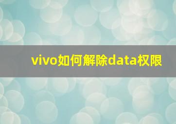 vivo如何解除data权限