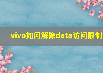 vivo如何解除data访问限制