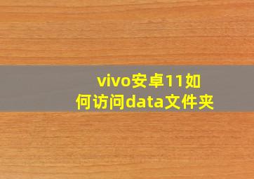 vivo安卓11如何访问data文件夹