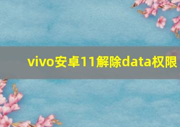 vivo安卓11解除data权限