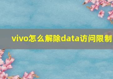 vivo怎么解除data访问限制