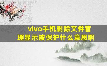 vivo手机删除文件管理显示被保护什么意思啊