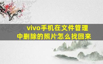 vivo手机在文件管理中删除的照片怎么找回来