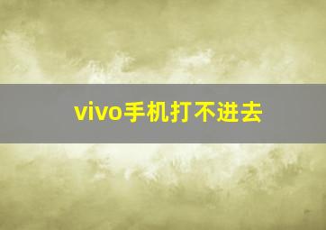 vivo手机打不进去