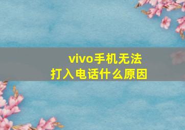 vivo手机无法打入电话什么原因