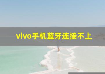 vivo手机蓝牙连接不上