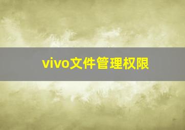 vivo文件管理权限