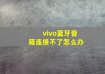 vivo蓝牙音箱连接不了怎么办