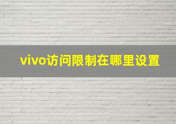 vivo访问限制在哪里设置