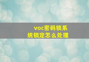 voc密码锁系统锁定怎么处理