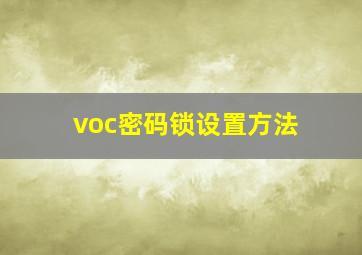 voc密码锁设置方法