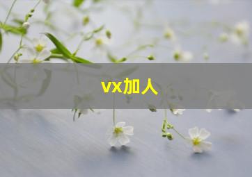 vx加人