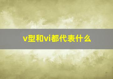 v型和vi都代表什么