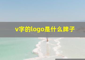 v字的logo是什么牌子