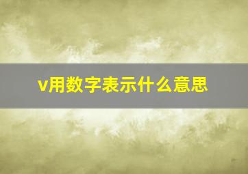 v用数字表示什么意思