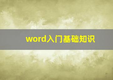 word入门基础知识