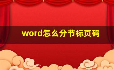 word怎么分节标页码