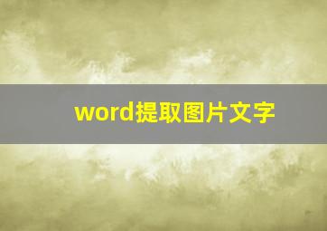 word提取图片文字