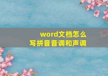 word文档怎么写拼音音调和声调