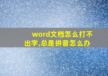 word文档怎么打不出字,总是拼音怎么办