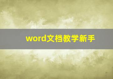 word文档教学新手