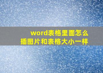 word表格里面怎么插图片和表格大小一样