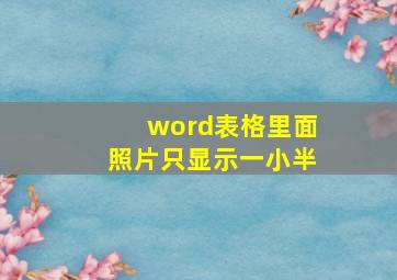 word表格里面照片只显示一小半