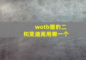 wotb猎豹二和斐迪南用哪一个