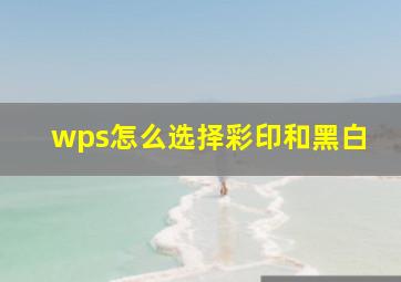 wps怎么选择彩印和黑白