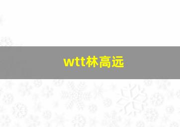 wtt林高远