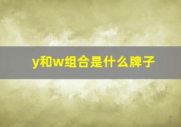 y和w组合是什么牌子