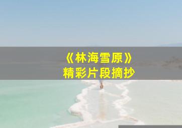 《林海雪原》精彩片段摘抄