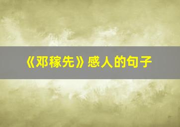 《邓稼先》感人的句子