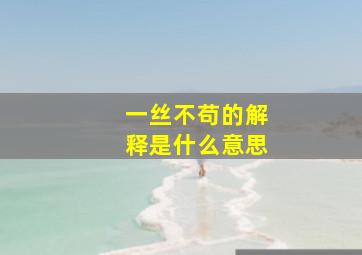 一丝不苟的解释是什么意思