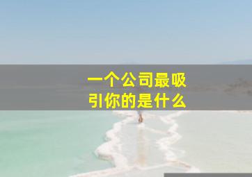 一个公司最吸引你的是什么