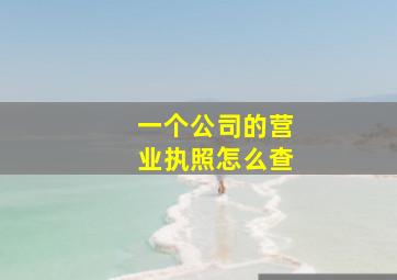 一个公司的营业执照怎么查