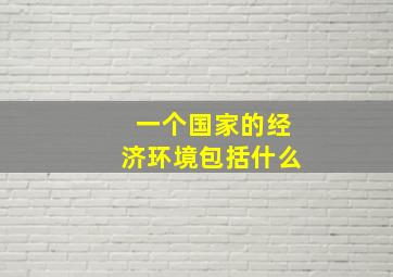 一个国家的经济环境包括什么