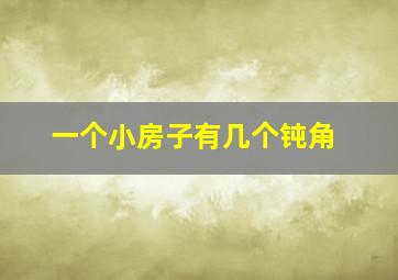 一个小房子有几个钝角