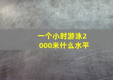 一个小时游泳2000米什么水平