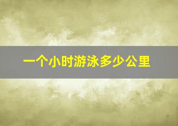 一个小时游泳多少公里