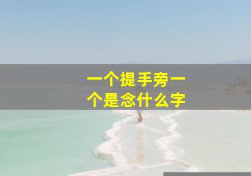 一个提手旁一个是念什么字