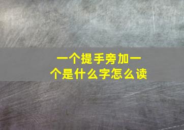 一个提手旁加一个是什么字怎么读