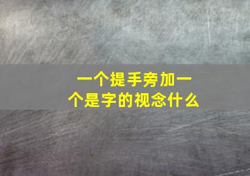 一个提手旁加一个是字的视念什么